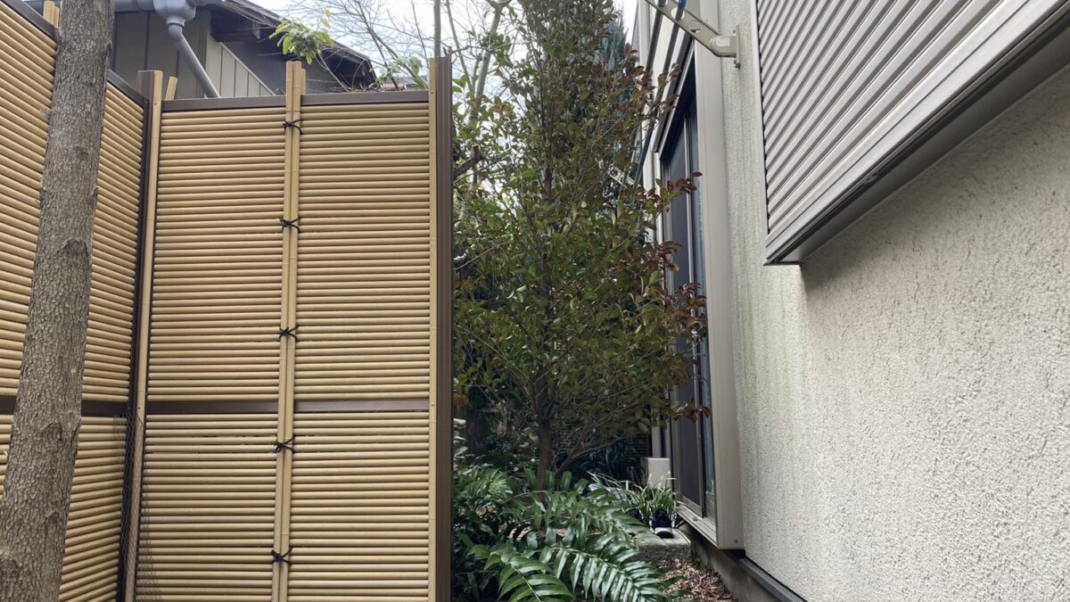 剪定のタイミングとシーズンごとの違い