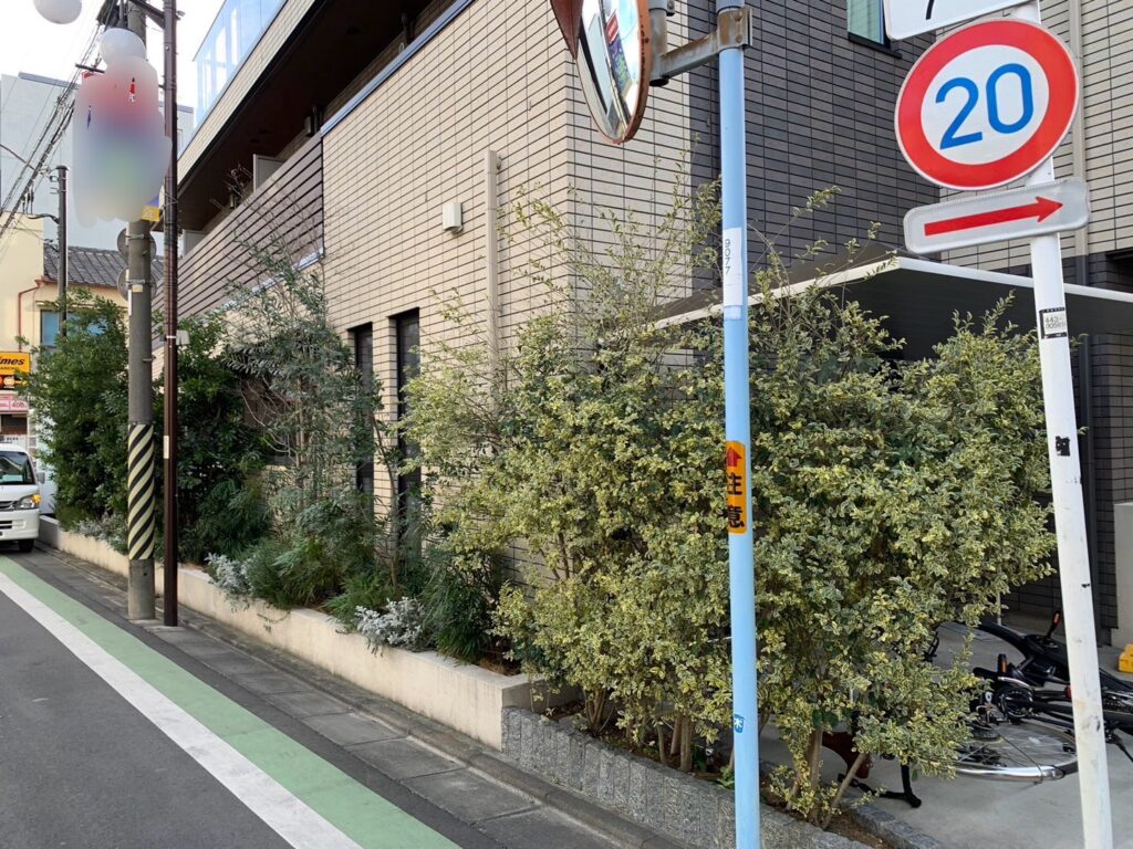 世田谷区経堂の生垣の剪定前